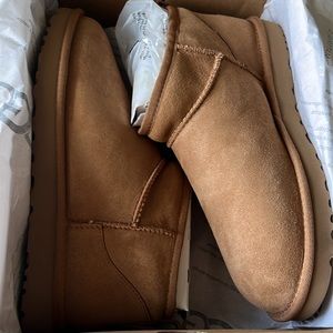 Ultra Mini Uggs